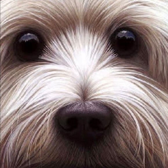 Meet your Posher, Merideth - Picture 1 of 1